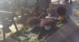 Galerie foto - poza 4