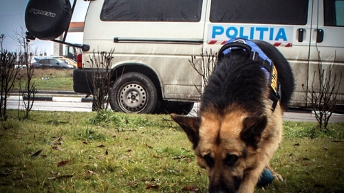 Ionela Gina Străchinariu, o fată de 14 ani din Botoșani, lipsește de acasă de 6 zile. Poliția oferă semnalmentele adolescentei