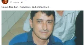 Galerie foto - poza 3