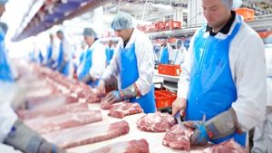 Focar de COVID-19 la un abator din Germania! Peste 200 de lucrători români au fost infectați
