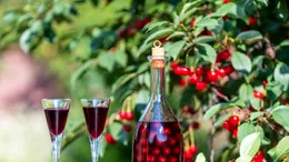 Festivalul CIREȘELOR din Michigan se confruntă cu o criză agricolă. Cu ce se LUPTĂ fermierii?