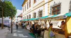 Galerie foto - poza 3