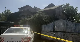 Galerie foto - poza 2