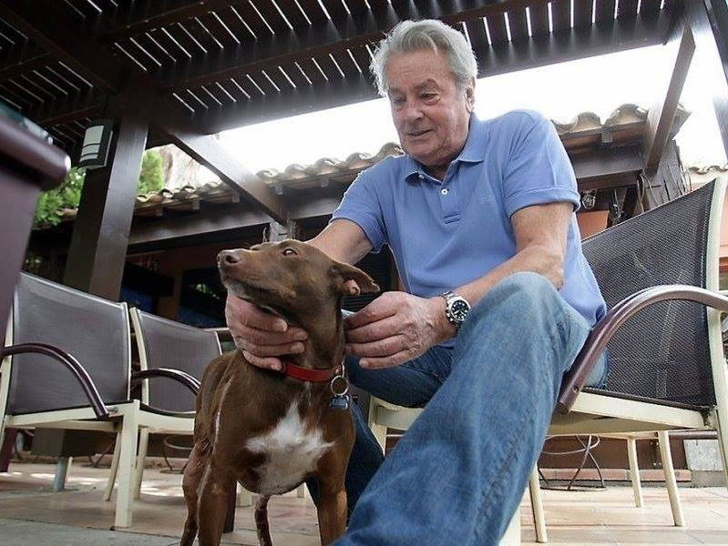 Alain Delon şi-a pregătit înmormântarea! Vrea să fie înhumat lângă câinii lui
