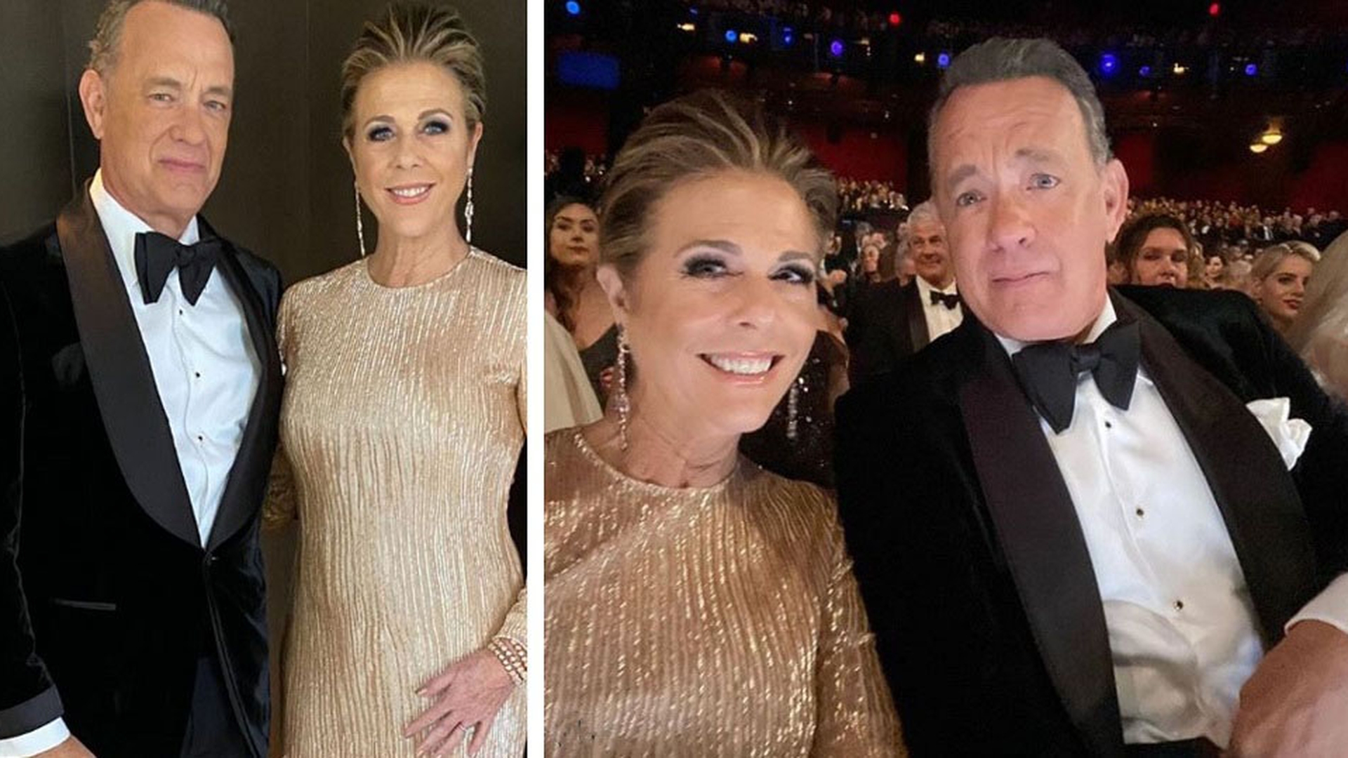 Tom Hanks și Rita Wilson au devenit imuni în fața noului coronavirus și au donat sânge pentru crearea unui vaccin împotriva COVID-19