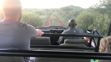 Ți se taie respirația! Stai cu sufletul la gură și aștepți să o salveze!  Și-a prins capul în botul mașinii și…