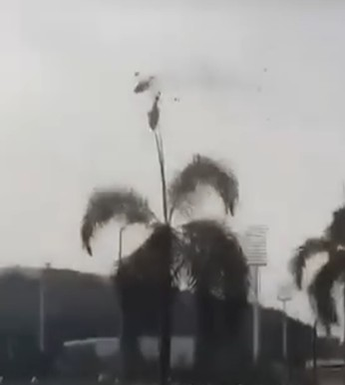 Tragedie în lumea artistică! Cântărețul Oliver Tree și alte 5 persoane au murit după ciocnirea a două elicoptere