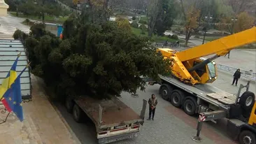 Oamenii sunt scandalizați! Cum a împodobit Primăria bradul din centrul orașului Caracal