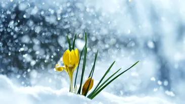 Prognoza meteo 26 februarie 2019. Nu scăpăm de ninsori