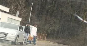 Galerie foto - poza 1