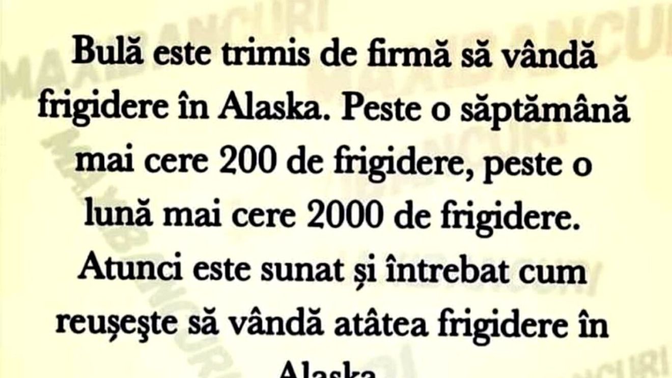 BANC | Bulă este trimis de firmă să vândă frigidere în Alaska