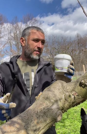Cum arată solarul Danei Nălbaru și al lui Dragoș Bucur. Vedetele vor planta legume: „Ne inspiri”