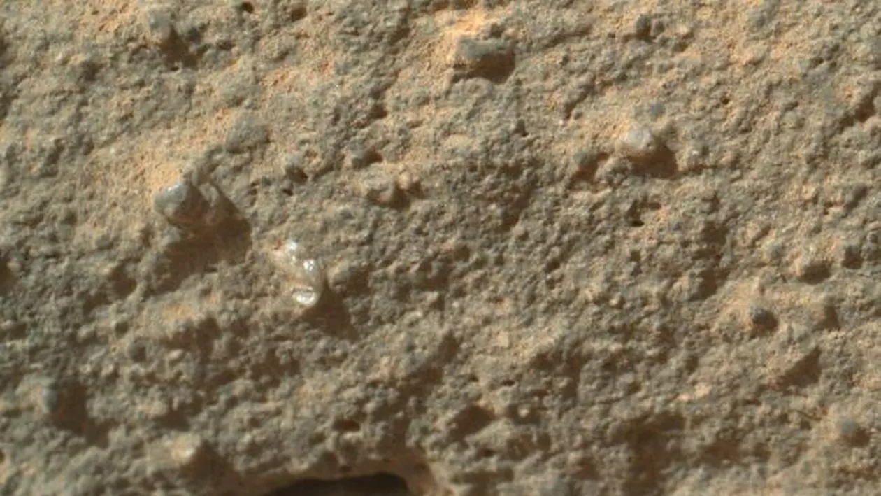 Există viaţă pe Marte? Staţia spaţială NASA, Curiosity, a fotografiat ceea ce pare a fi o floare! Voi ce credeţi?
