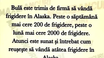 BANC | Bulă este trimis de firmă să vândă frigidere în Alaska