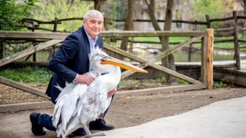A devenit cel mai bun prieten cu un pelican! Vezi despre cine este vorba! 