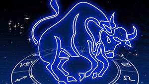 Horoscop zilnic: Horoscopul zilei de 8 decembrie 2020. Taurii au noroc în dragoste