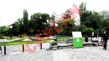 Aleile Cismigiului, facute pe urmele pasilor trecatorilor