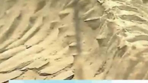 VIDEO Scheletele a 75 de balene au fost descoperite in desertul Atacama din Chile!