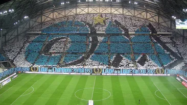 Biletul Zilei »» Mizăm inspirat  pentru un început de week-end verde!