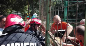 Galerie foto - poza 2