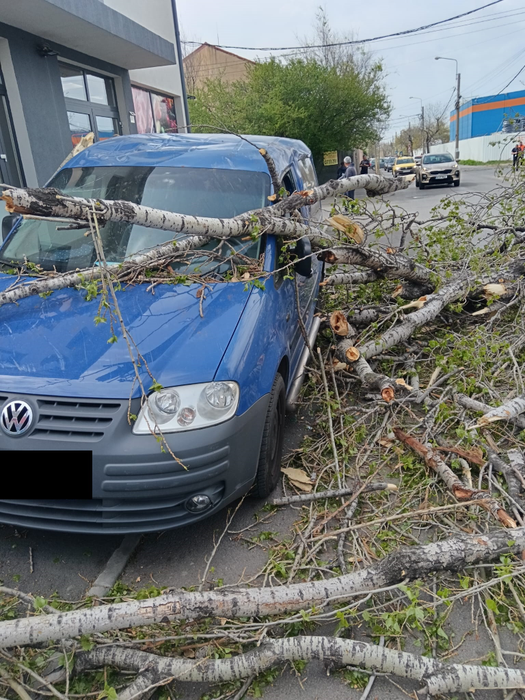 Furtuna a făcut ravagii în Capitală!