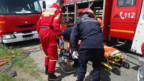 Autorităţile sunt în alertă: Şapte persoane din Suceava au fost muşcate de şerpi!