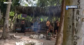 Galerie foto - poza 1