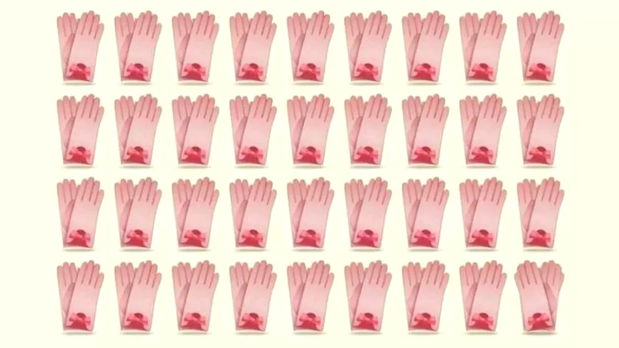 Test IQ | Numai cei cu ochi de vultur văd perechea diferită de mănuși, în doar 5 secunde!