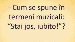 BANC | Cum se spune în termeni muzicali: "Stai jos, iubito!"?