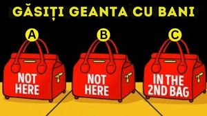 Test IQ pentru genii | În ce geantă se află bani? Doar 1% își pot da seama în doar 5 secunde
