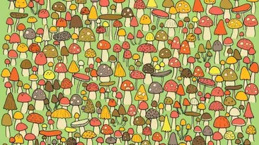 Test de perspicacitate | Numai geniile găsesc șoricelul care se ascunde în poză, în 28 de secunde