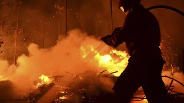 Incendiu de proporții în Munții Ciucaș! Zeci de pompieri au intervenit