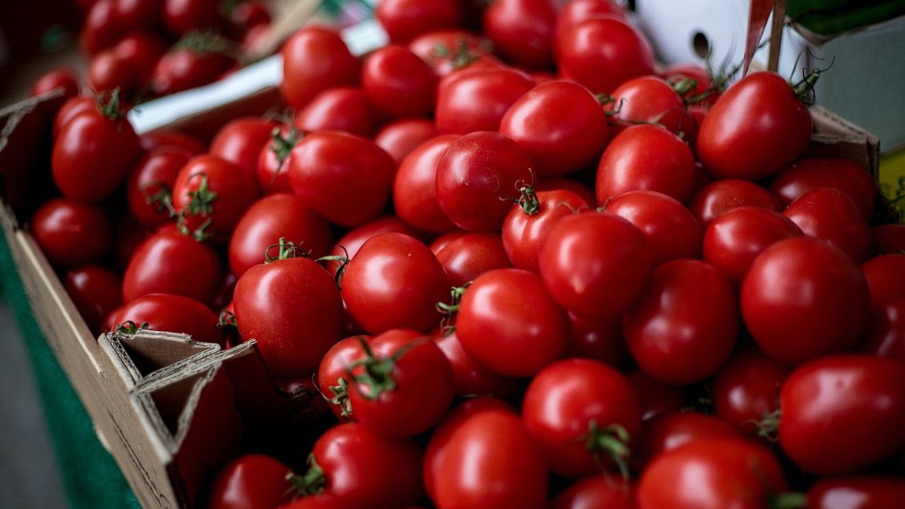 Cât costă un kilogram de roșii la marginea Bucureștiului. Agricultorii le vând direct la poartă