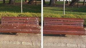 Spirit civic la Cluj. Ce a făcut un bărbat în Parcul Central. „Am luat atitudine”
