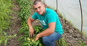 Galerie foto - poza 2