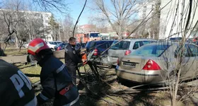 Galerie foto - poza 3