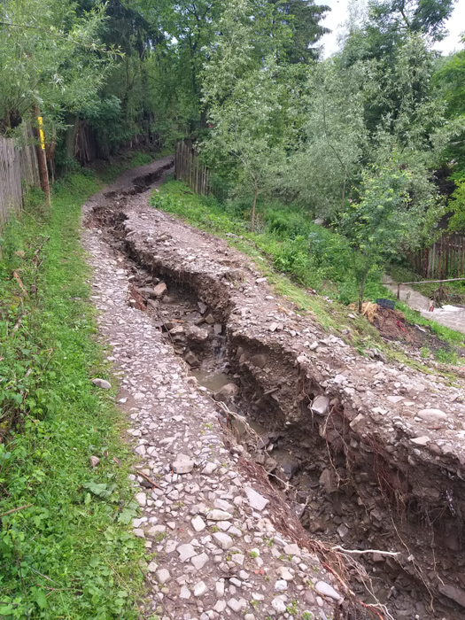 Panică în Bacău! Inundațiile au măturat totul în cale. FOTO