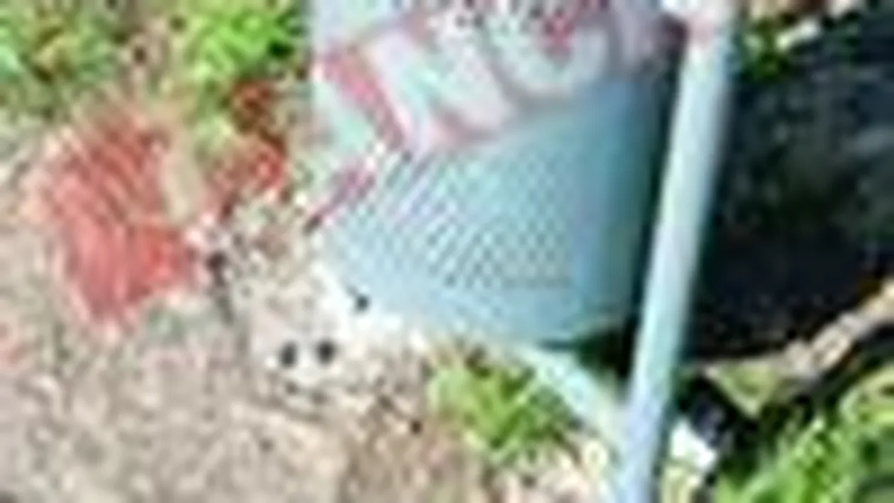 Parcul Izvor, dotat cu banci si cosuri de gunoi din Spania