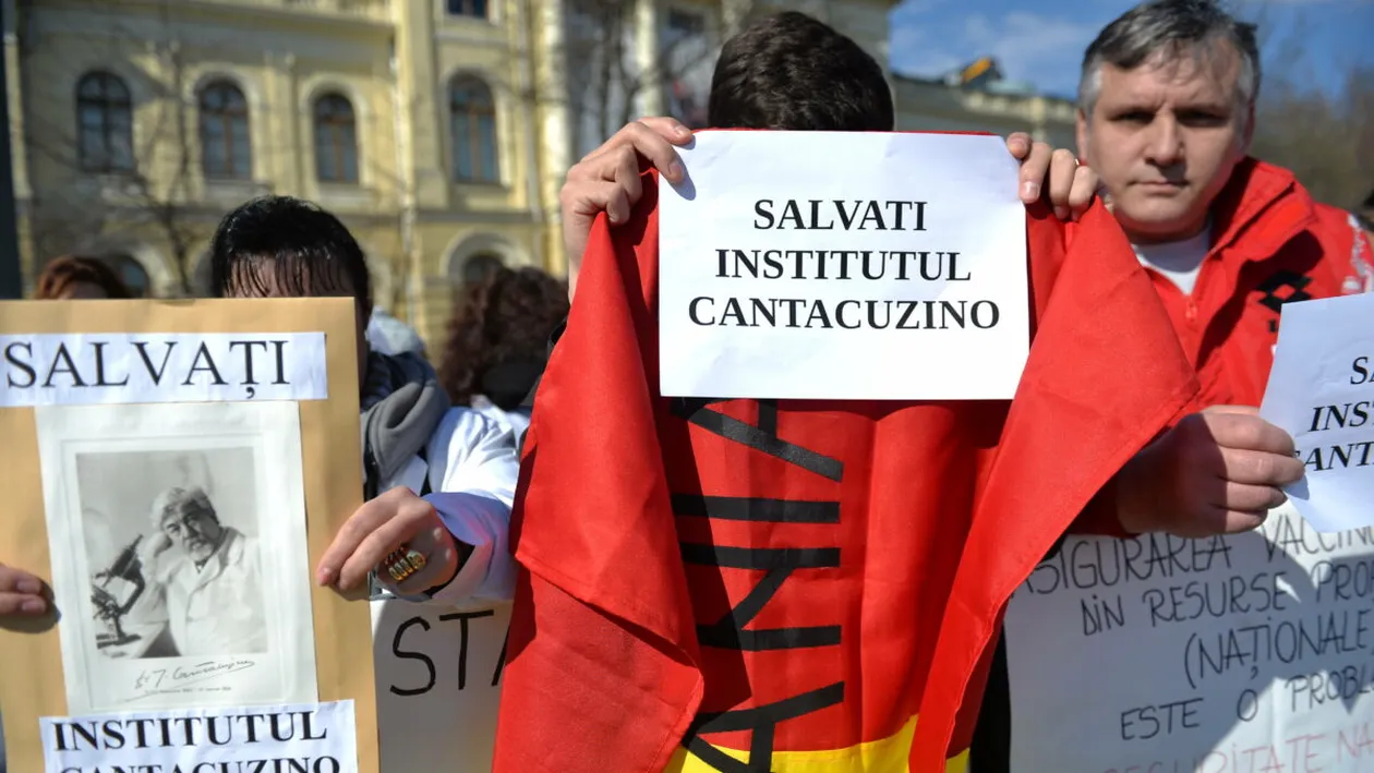 Stejarii cresc în secole. A fost odată Institutul Cantacuzino