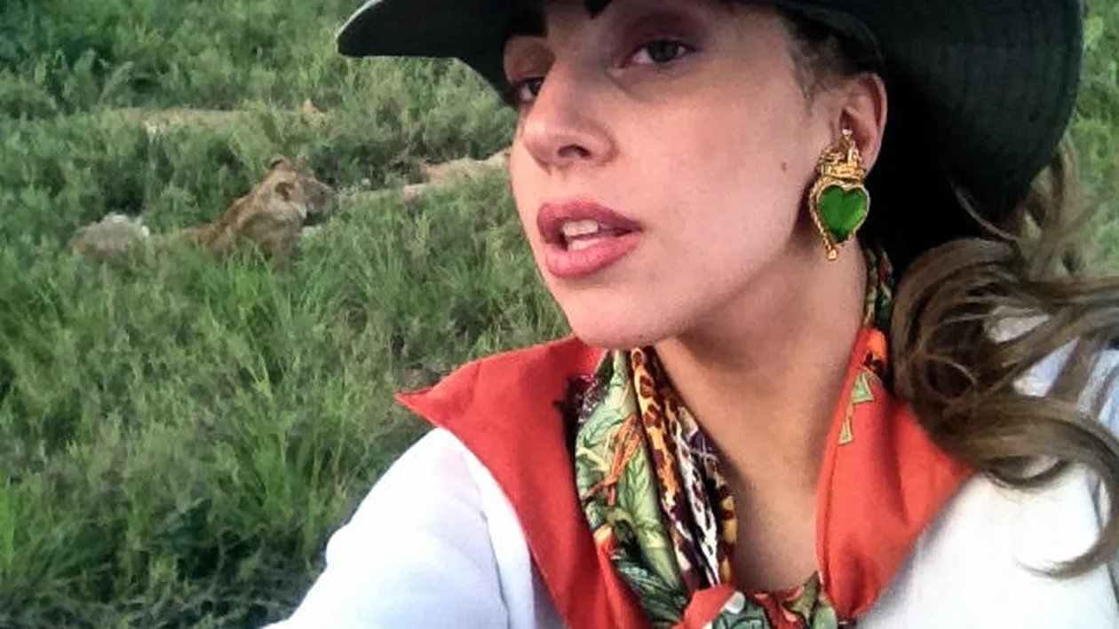 A cautat-o moartea la un safari! Lady Gaga, la trei pasi de a fi sfasiata de un grup de lei