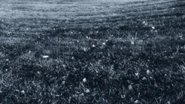 Cel putin 23 de morti si peste 160 de raniti in China, in urma unei tornade