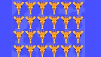 Test de logică | Care dintre cele 24 de girafe este diferită de celelalte 23?
