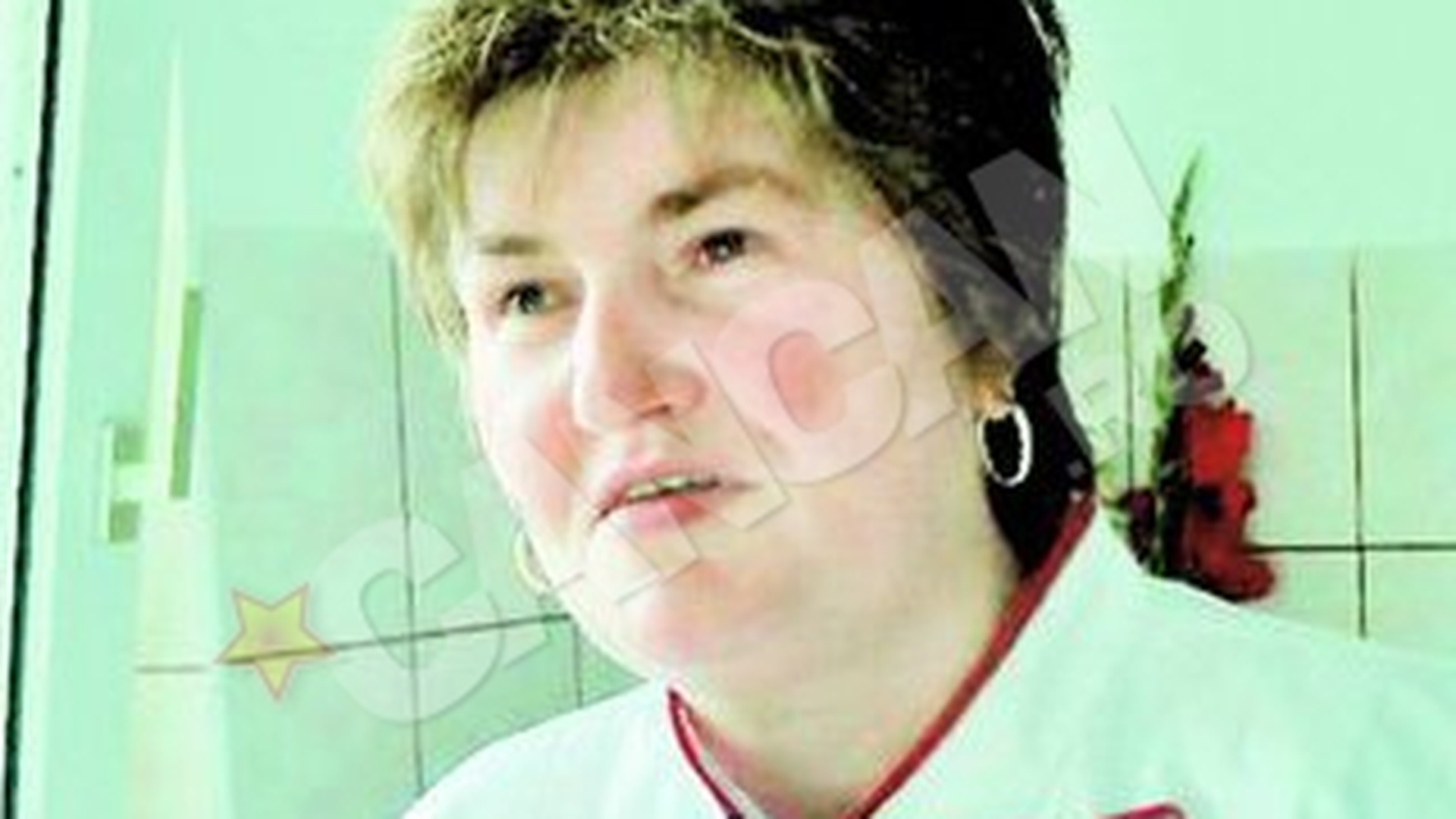 Regele Leu si Mica sirena, pe torturile unei femei din Botosani. "Scrie" povesti din martipan