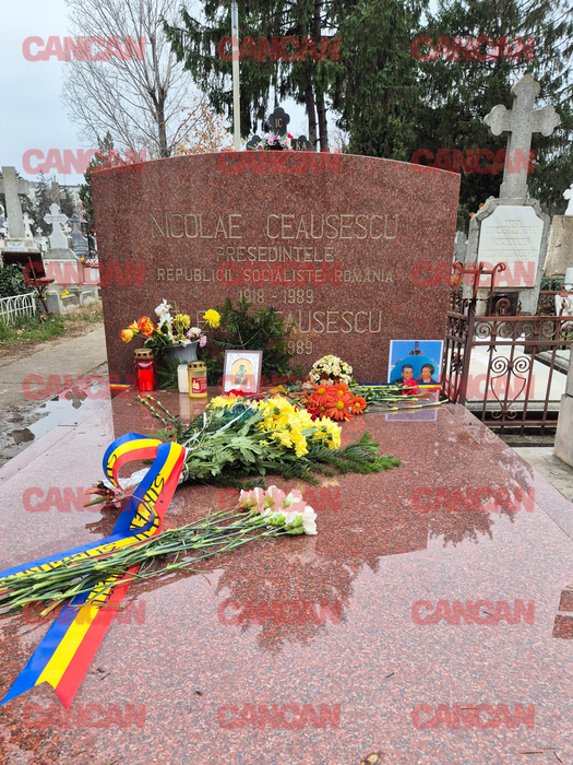 Cum arată astăzi mormântul soților Ceaușescu