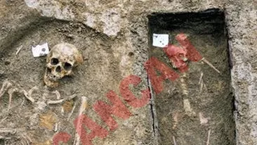 Scheletele de la Universitate , la muzeu