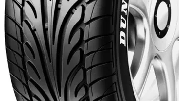 Doi barbati, cercetati penal dupa ce au furat 30 de anvelope din incinta unei fabrici