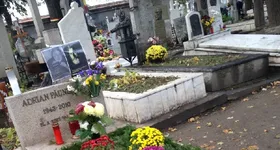 Galerie foto - poza 4