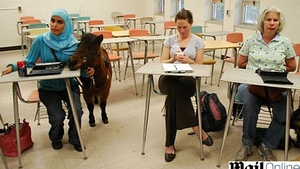 O studenta oarba si-a luat un ponei in loc de caine