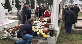 Galerie foto - poza 1