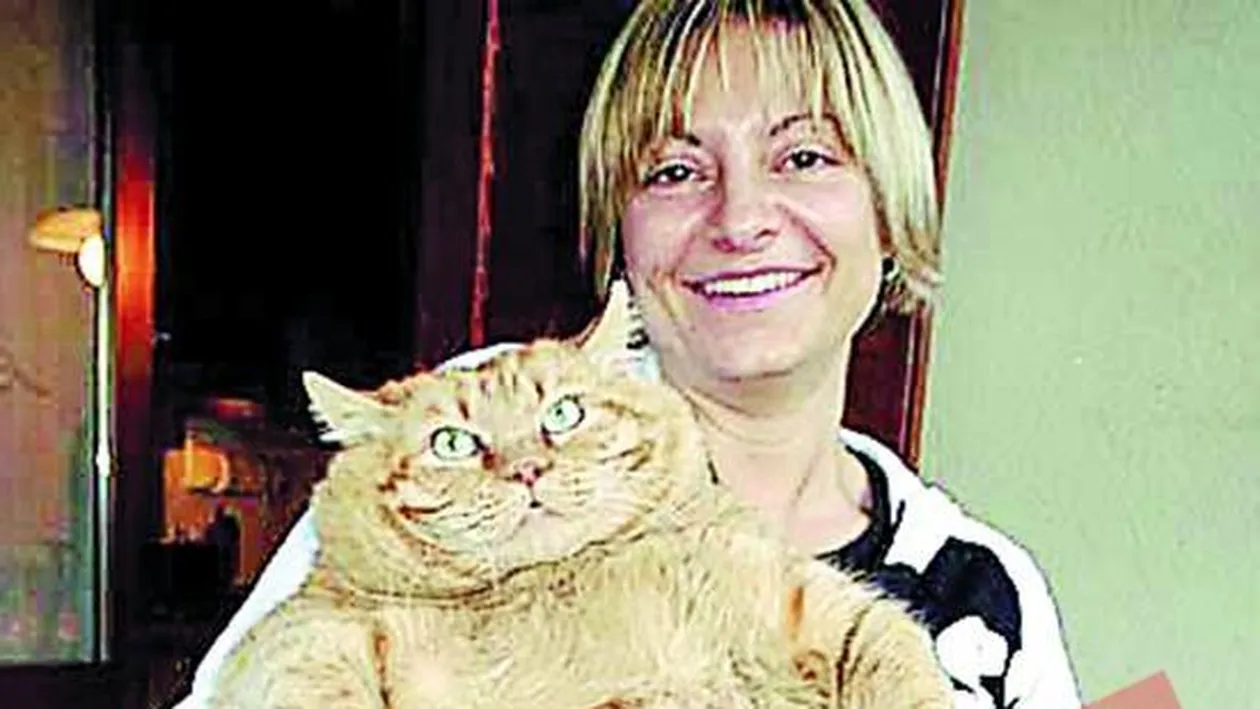 Motanul de 16 kilograme